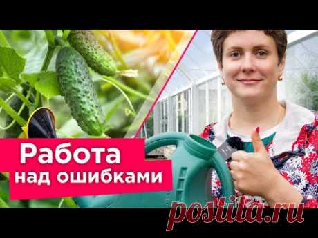 ОГУРЦЫ ВАМ ЭТОГО НЕ ПРОСТЯТ! 8 грубых ошибок при выращивании огурцов из-за которых вы теряете урожай