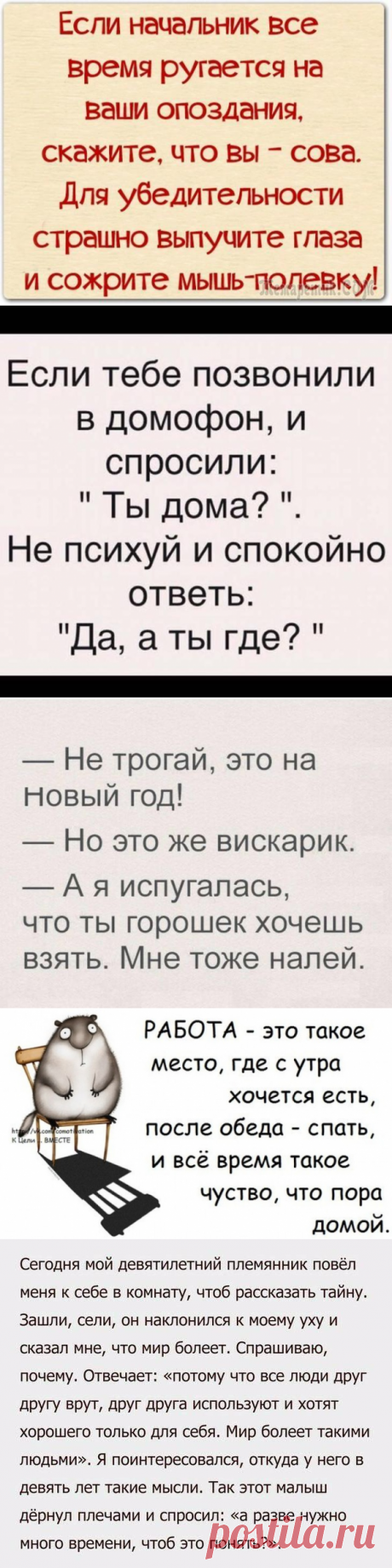 25 анекдотов, шуток и историй, чтоб посмеяться от души