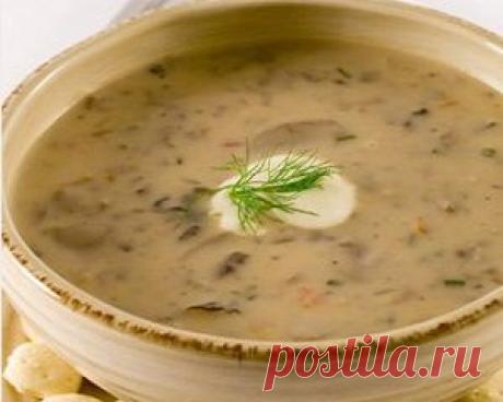 Грибной суп-крем