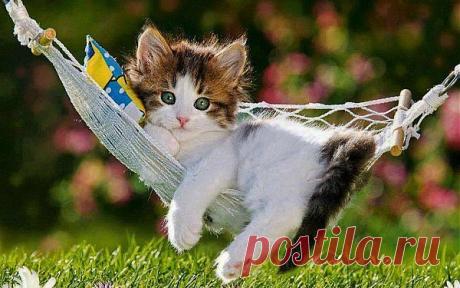 Мой Мир@Mail.Ru