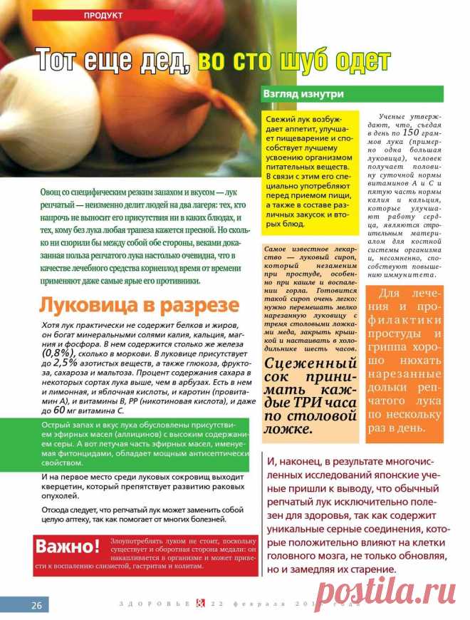 Лук - полезные свойства