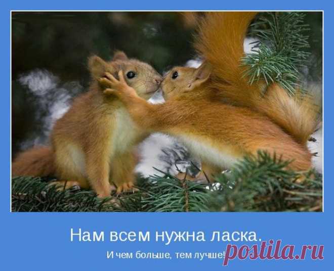 Ласковое слово и белке... приятно))