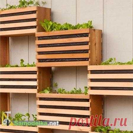 Вертикальный сад своими руками в квартире