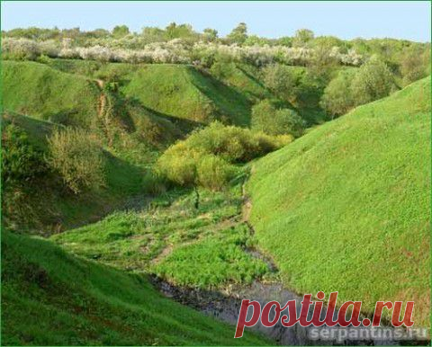 Аномальная зона в Коломенском | Искусница