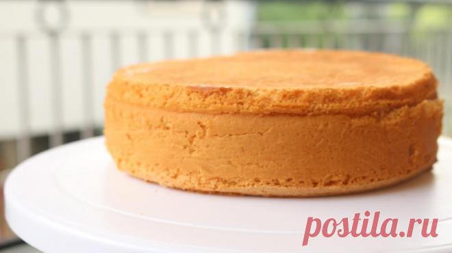 Бисквит с медом: рецепты приготовления с фото . Милая Я