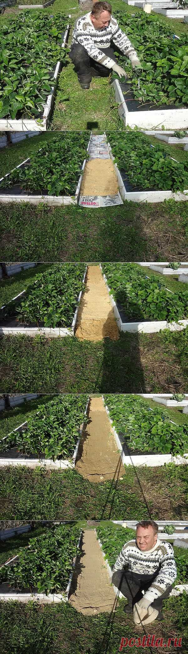 Как сделать чтобы в проходах трава не росла?.