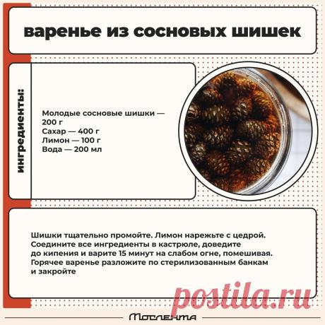 Варенье из сосновых шишек