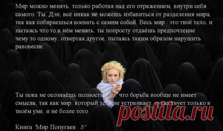 Социальная матрица - »