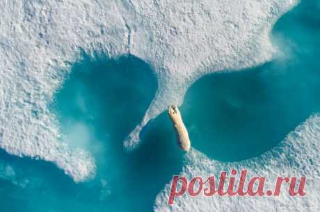 20 лучших фотографий 2017 года, снятых с дронов 
Dronestagram — первая социальная сеть, посвященная аэрофотосъемке. Она выбрала 20 лучших аэрофотоснимков из многих тысяч потрясающих фотографий с дронов, представленных в 2017 году.

1. Бетонные джун…