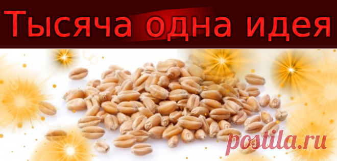 Заговор на прибыльную продажу земли и недвижимости.
Здесь собраны самые действенные заговоры. Они проверены много раз, вызвали одобрение у тех, кто решился или воспользоваться. Теперь ваша очередь. Серьезно отнеситесь к процессу, ведь от него зависит ваша прибыль.| Тысяча одна идея