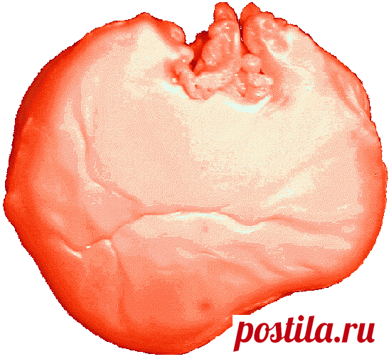 Отливки посетителей: Верх второй отливки