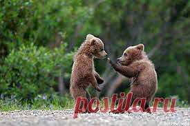 вот так бить надо!!!!