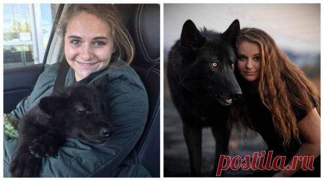 Люди показывают, как изменились их домашние питомцы со дня первой встречи У каждой дружбы есть история – Самые лучшие и интересные посты по теме: Как изменились, перемены к лучшему, преображение на развлекательном портале Fishki.net