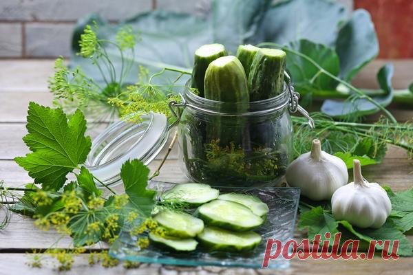 СЕКРЕТЫ ЗАГОТОВКИ СОЛЕНЫХ И МАРИНОВАННЫХ ОГУРЦОВ.