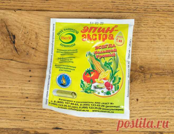 Аптечка для домашнего цветоводства: 9 средств от всех бед | undefined (undefined)