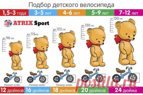 Детский велосипед НА ДАЧУ!

Полностью собранный и настроенный велосипед мы привезем к вам на дачу. БЕСКОНАКТНАЯ ДОСТАВКА!

В ассортименте детские велосипеды 12, 14, 16, 18, 20 и 24 колеса!

https://atrix-sport.ru/section/bikes/kids/