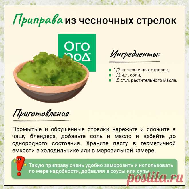 Приправа из чесночных стрелок