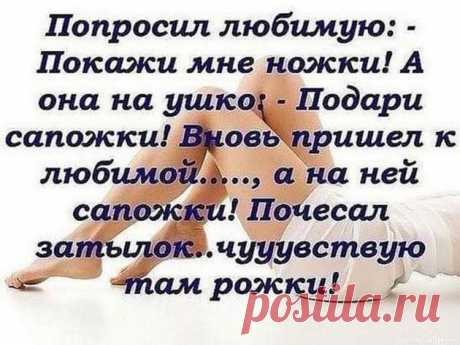  Представляешь? Прихожу домой вечером с работы и застаю свою жену в постели с каким-то шведом... Я не пью шампанское, потому что пузырики бьют в голову… … и требуют коньяк, текилу и воооон того красивого мальчика... "Заваривать чай 15 минут" Да не могу я заваривать чай 15 минут! Я завариваю его либо 3 секунды, либо вспоминаю о нем только на следующий день...