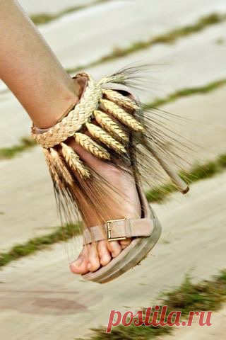 Not Ordinary Fashion