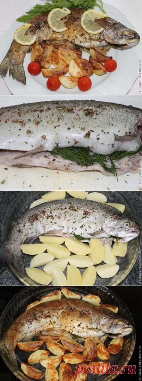 Форель, запеченная с картофелем / Рецепты с фото