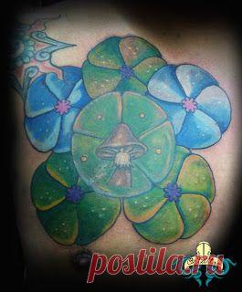 кактусы пейот: 2 тыс изображений найдено в Яндекс.Картинках