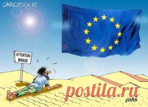 Розы.устойчивые к дождю. | Самоцветик