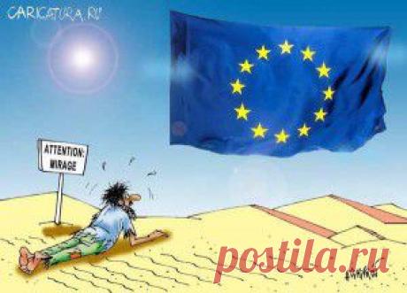 Розы.устойчивые к дождю. | Самоцветик