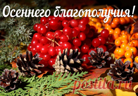 Минутта | Открытки, подарки, видео из фото