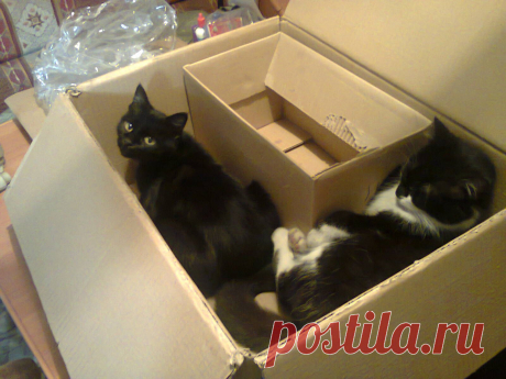 Дали квартирку на расширение)))