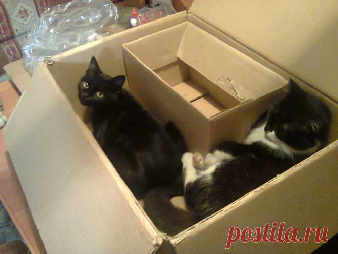 Дали квартирку на расширение)))