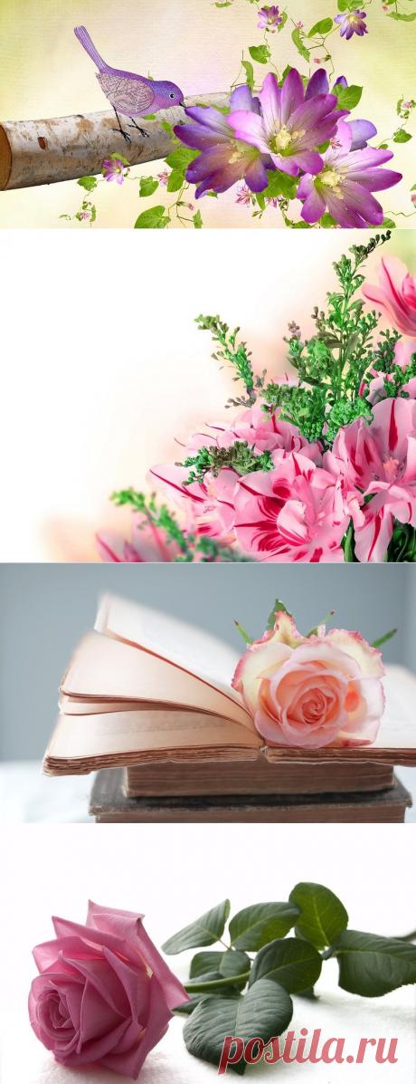 Нежные, цветочные обои на раб. стол.