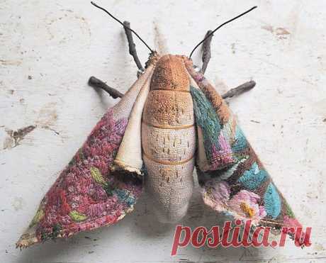 Mister Finch - Profile Pictures