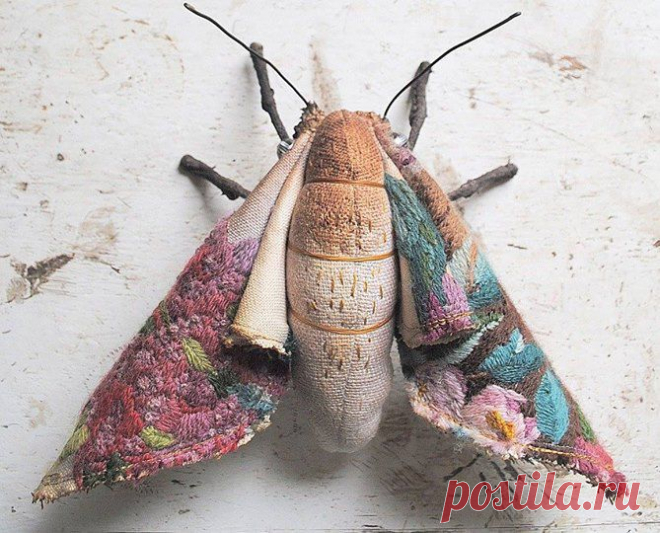 Mister Finch - Profile Pictures