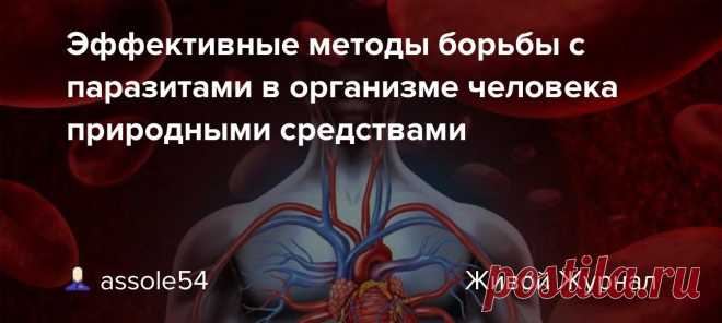 Эффективные методы борьбы с паразитами в организме человека природными средствами
В журналах о здоровье или в публикациях Интернета нередко можно встретить статьи об очищении крови. А вот о лимфатической системе информации не так много. А ведь лимфа не менее важная биологическая жидкость, которая также нуждается в очищении. Народная медицина — рецепты, советы, способы, cекреты и народные средства.
