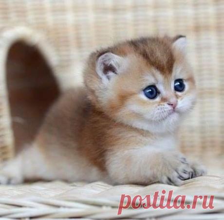 Фразы,Высказывания,Стихи,Цитаты,Видео...
Елена Станова