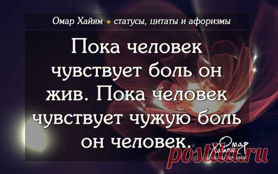 (17) Одноклассники