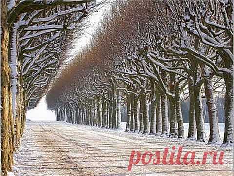 Любимые песни. Олег Митяев - Пройдет зима.