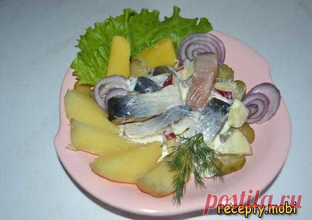 Сельдь с красным луком, яблоком и картофелем

✅Ингредиенты
сельдь - 1 шт;
лук красный - 1 шт;
соленые или маринованные огурцы - 150 г;
яблоко - 1 шт;
кукуруза - 50 г;
хрен - 1 ст. л;
уксус травяной - 1 ст. л;
сметана - 75 г;
картофель - 4 шт.
