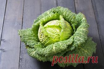 Белокочанная или пекинская? Какая капуста полезнее и в каком виде ее есть Можно ли есть кочерыжку, или в ней содержится слишком много нитратов? Правда ли, что от капусты растет грудь? И так ли полезна брокколи, рассказывает к.м.н., автор книг программы «Пора лечиться правильно» Алексей Парамонов.