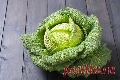 Белокочанная или пекинская? Какая капуста полезнее и в каком виде ее есть Можно ли есть кочерыжку, или в ней содержится слишком много нитратов? Правда ли, что от капусты растет грудь? И так ли полезна брокколи, рассказывает к.м.н., автор книг программы «Пора лечиться правильно» Алексей Парамонов.