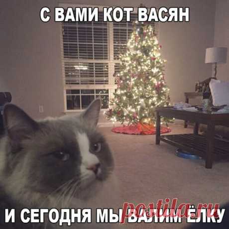 Статусы супер, статусы класс, лучшие статусы только для Вас