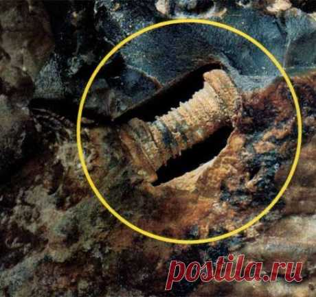 Загадка железного болта возрастом 300 миллионов лет