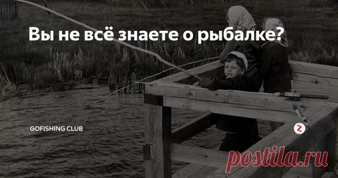 Вы не всё знаете о рыбалке? Поплавочная удочка, это профессиональная снасть, которые пользуются многие. Любители посидеть, отдохнуть у костра возле берега смотря на поплавок. Кто любит спокойную рыбалку, тот предпочитает такой вид ловли рыбы. Рыбачат большинство с берега, редкий случай с лодки. Раньше удочки не пробовались, а делали их сами. Брали ветку какого размера надо, ещё что бы ветка была гнутая. Большинство брали из