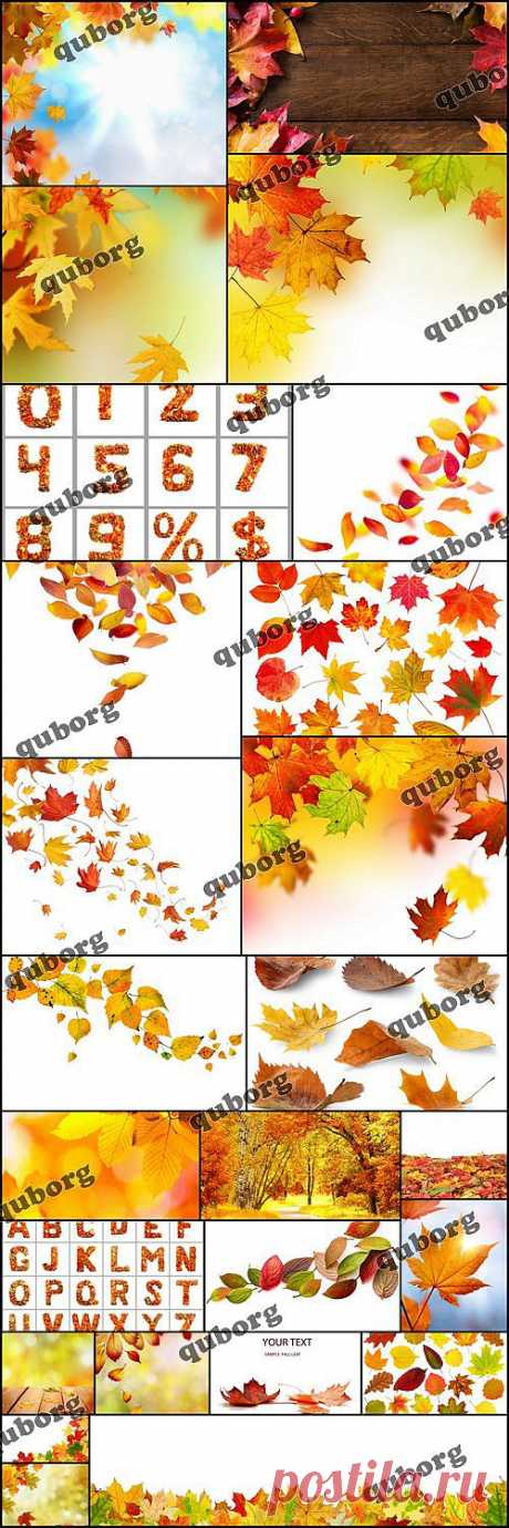 Stock Photos - Autumn Leaves » RandL.ru - Все о графике, photoshop и дизайне. Скачать бесплатно photoshop, фото, картинки, обои, рисунки, иконки, клипарты, шаблоны.