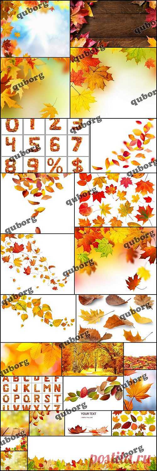 Stock Photos - Autumn Leaves » RandL.ru - Все о графике, photoshop и дизайне. Скачать бесплатно photoshop, фото, картинки, обои, рисунки, иконки, клипарты, шаблоны.