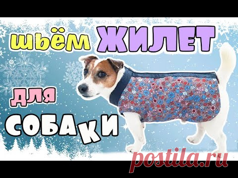 Шьём жилет для собаки своими руками. Мастер-класс