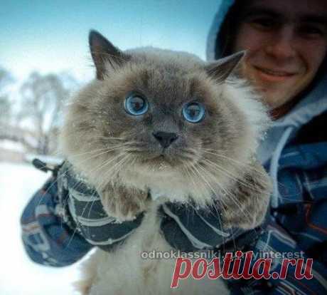 Какие глаза.