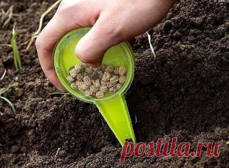 КАКИЕ ЦВЕТЫ МОЖНО СЕЯТЬ ПОД ЗИМУ

Цветы посаженные под зиму будут отличаться хорошим ростом, устойчивостью к болезням и погодным условиям.

Так же, посеяв семена под зиму вы освобождаете себе время весной. А его как раз тогда и не хватает.

Цветы, которые можно посадить осенью:
Однолетники: бархатцы; василек; резеду; космею; настурцию; амарант; дельфиниум; маттиола. Мак, адонис летний, алиссум морской, астра китайская, гвоздика китайская, годеция крупноцветковая. Иберис го...