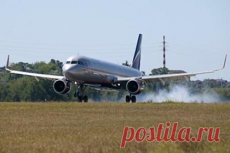 Летевший в Москву самолет сменил курс и вынужденно сел в другом городе. Летевший из Новокузнецка в Москву пассажирский самолет сменил курс и вынужденно сел в другом городе из-за попадания птицы в фюзеляж. Уточняется, что посадка произошла в международном аэропорту Новосибирска. По информации надзорного ведомства, птица оказалась в фюзеляже при наборе высоты в городе вылета.