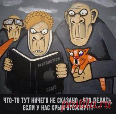 Записки украинской националистки из Крыма (перевод с мовы)